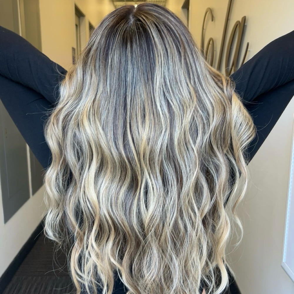 HIGHLIGHTS