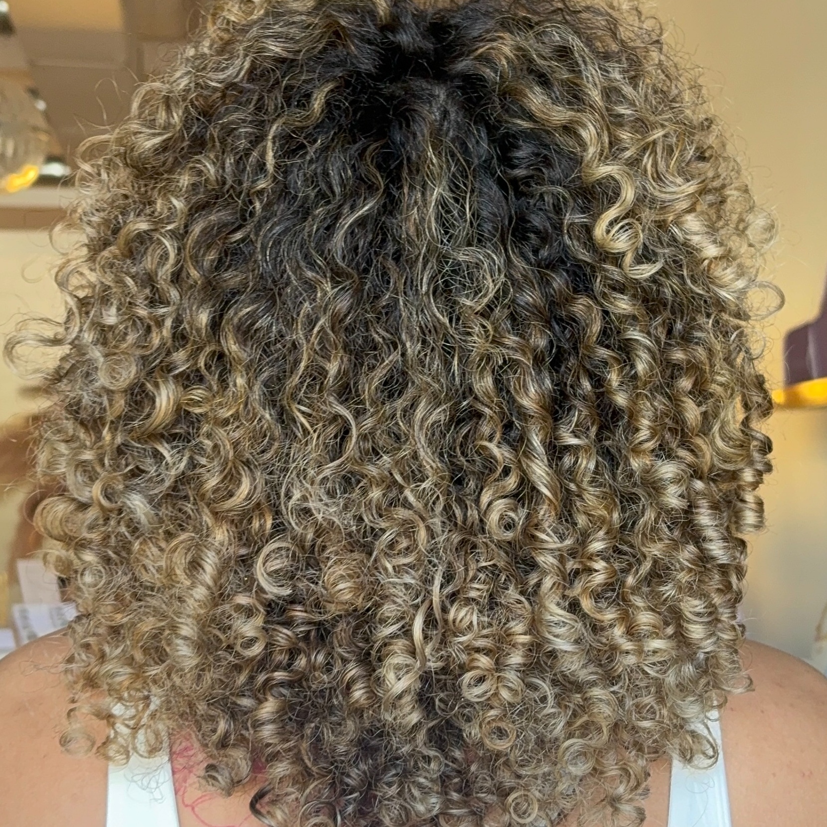Curly Consultation at Soul Haus Hair & Co in Little Rock, AR