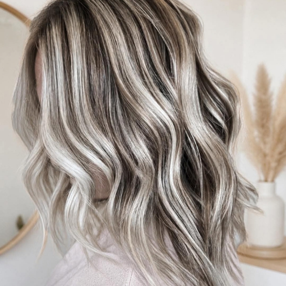 Partial Lowlights + Toner + Blowout at Dreamcuts and Styles Hair Salon in Fulshear, TX