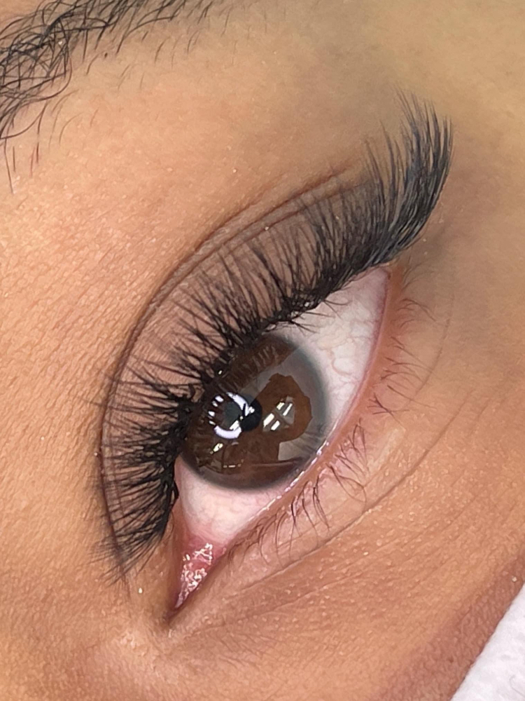 Natural Lashes