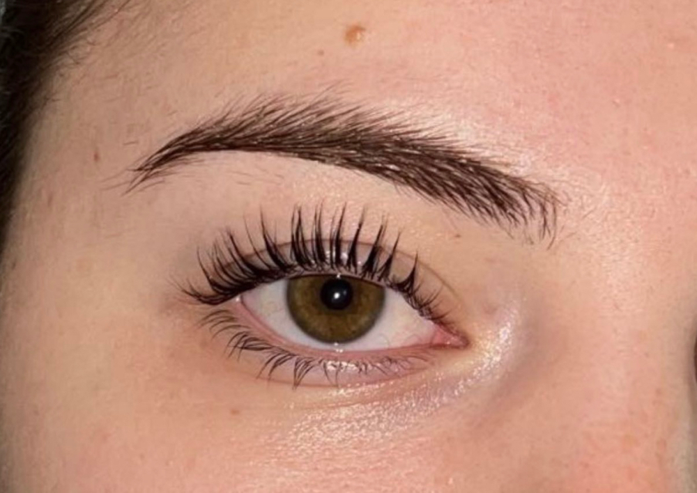 Basic Lash Lift