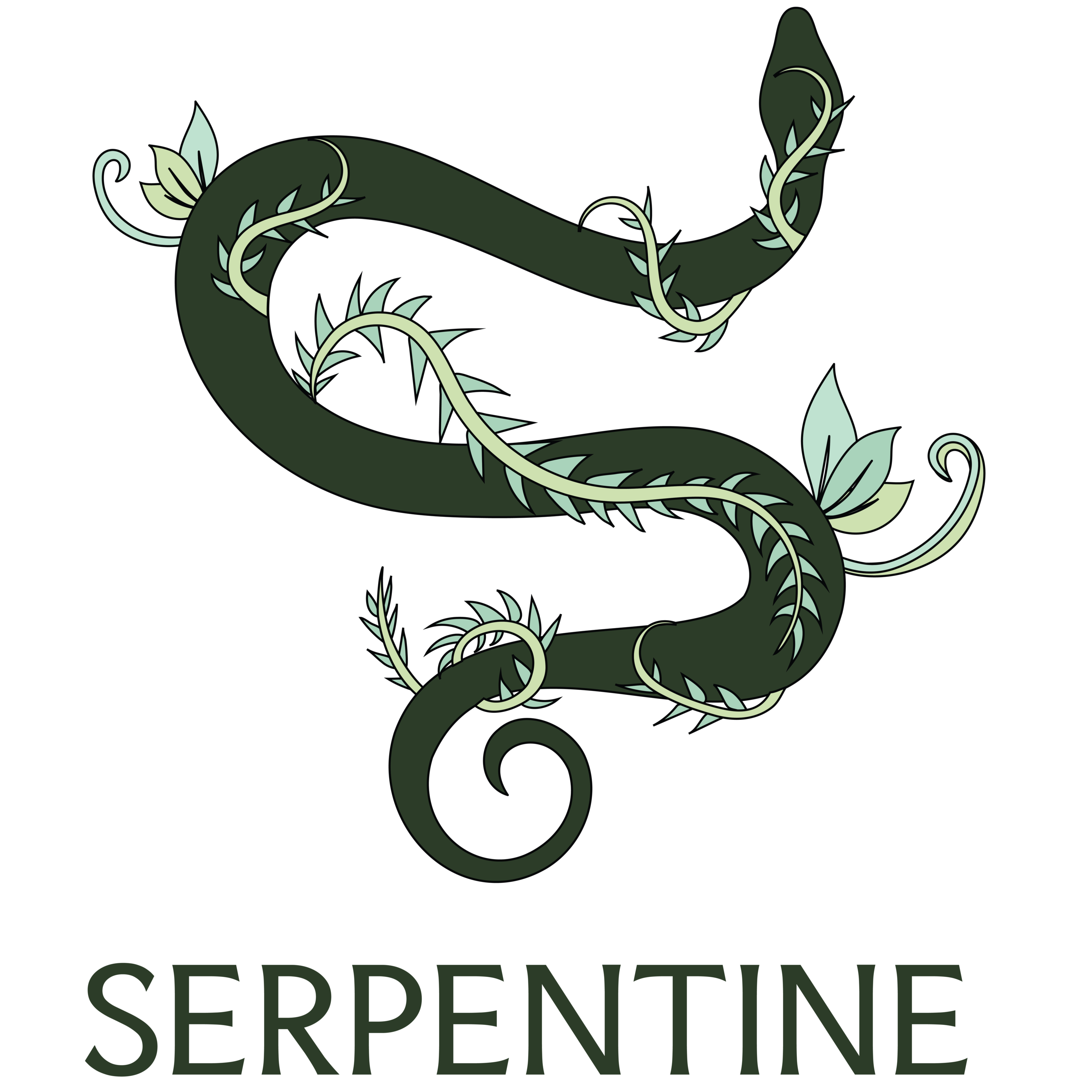 Double Process Consult at Serpentine Salon in Chapel Hill, NC
