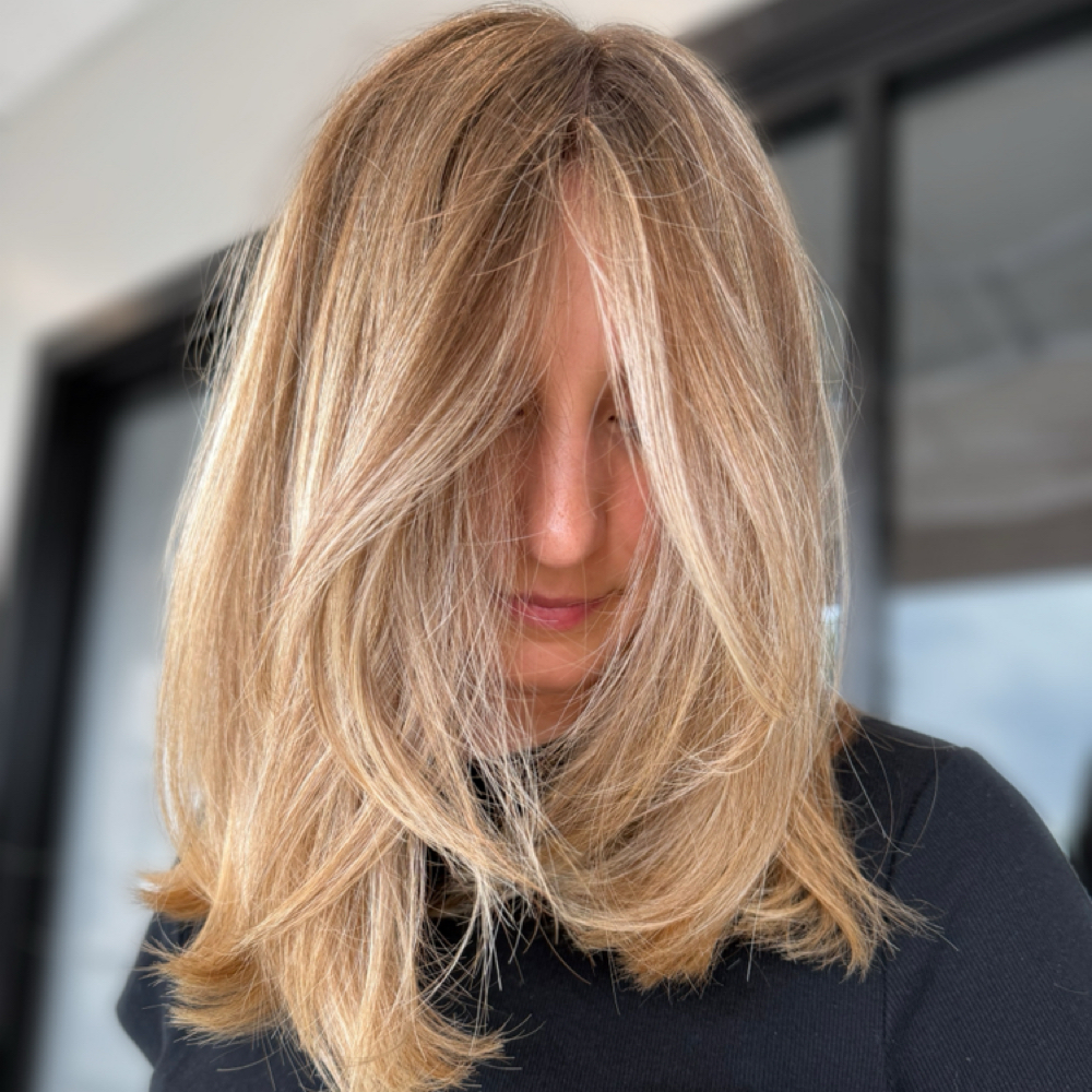 Face Light + Haircut at Mane Rose Salon in Webster, TX