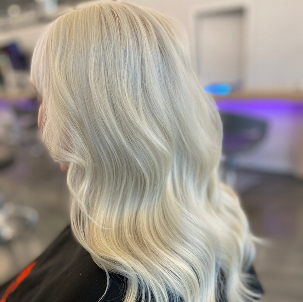 Platinum Refresh Bleach & Tone at The Rose Hair Studio in Manheim, PA