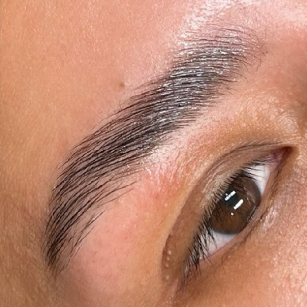 Brow Tint at Santiagos Beauty Bar in Fort Walton Beach, FL