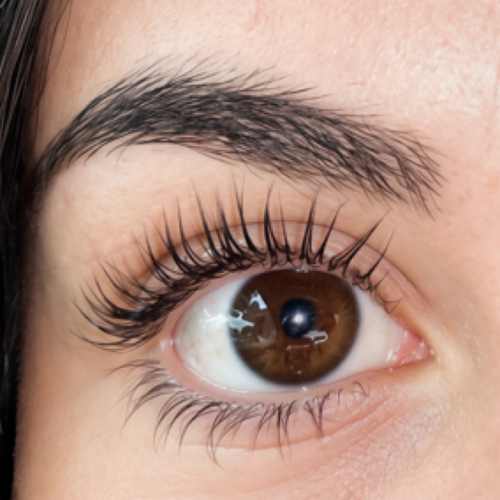 Korean Lash Lift + Tint at Eva Esthetics in Lowell AR, AR