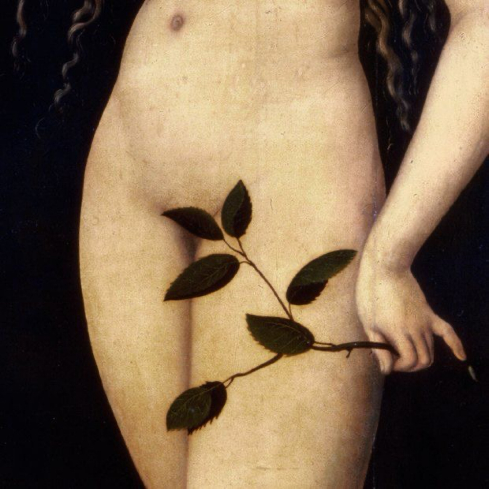 Full Brazilian - Female at Sugar & Sage Waxing Co. in Berkley, MI