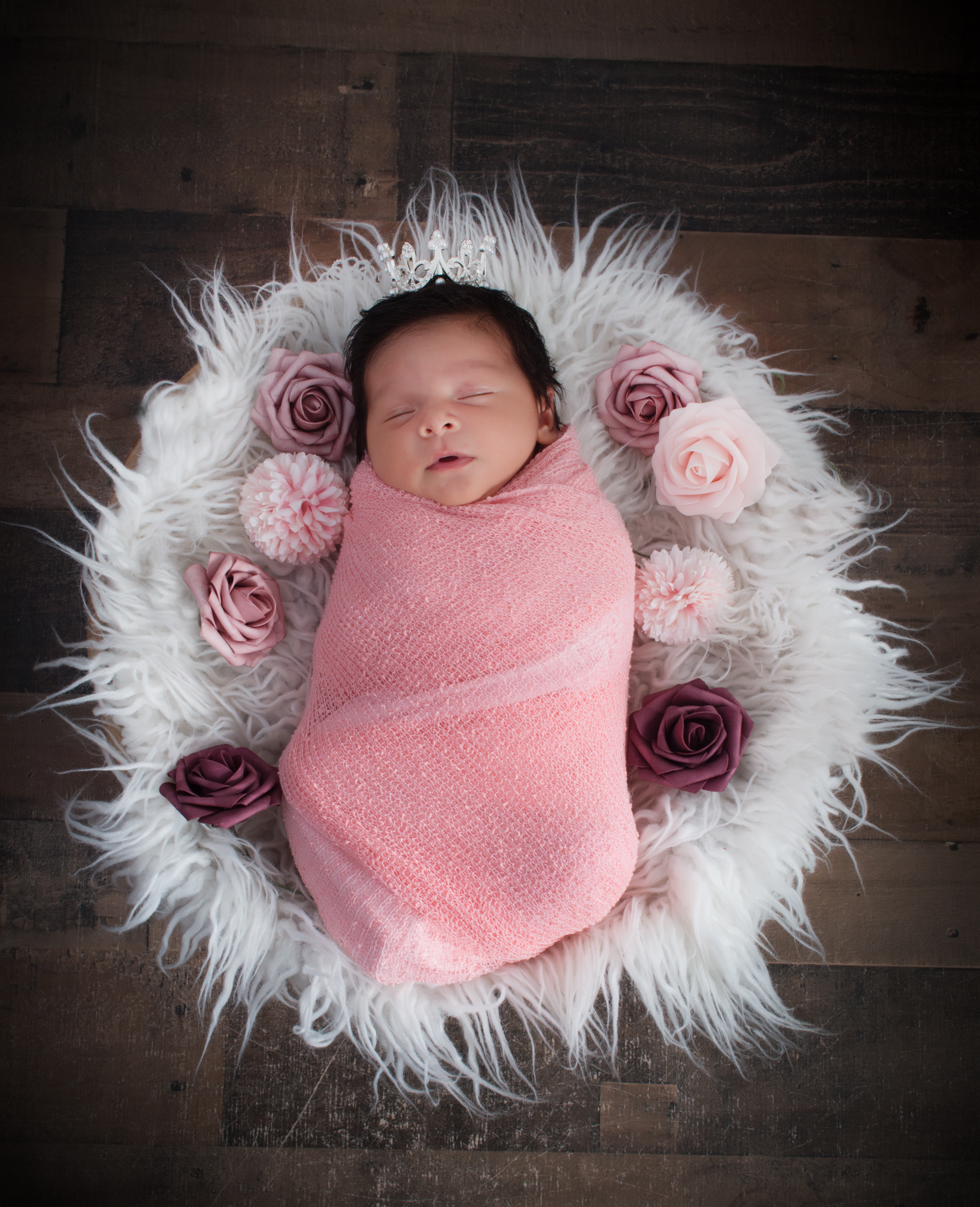 Newborn Photography