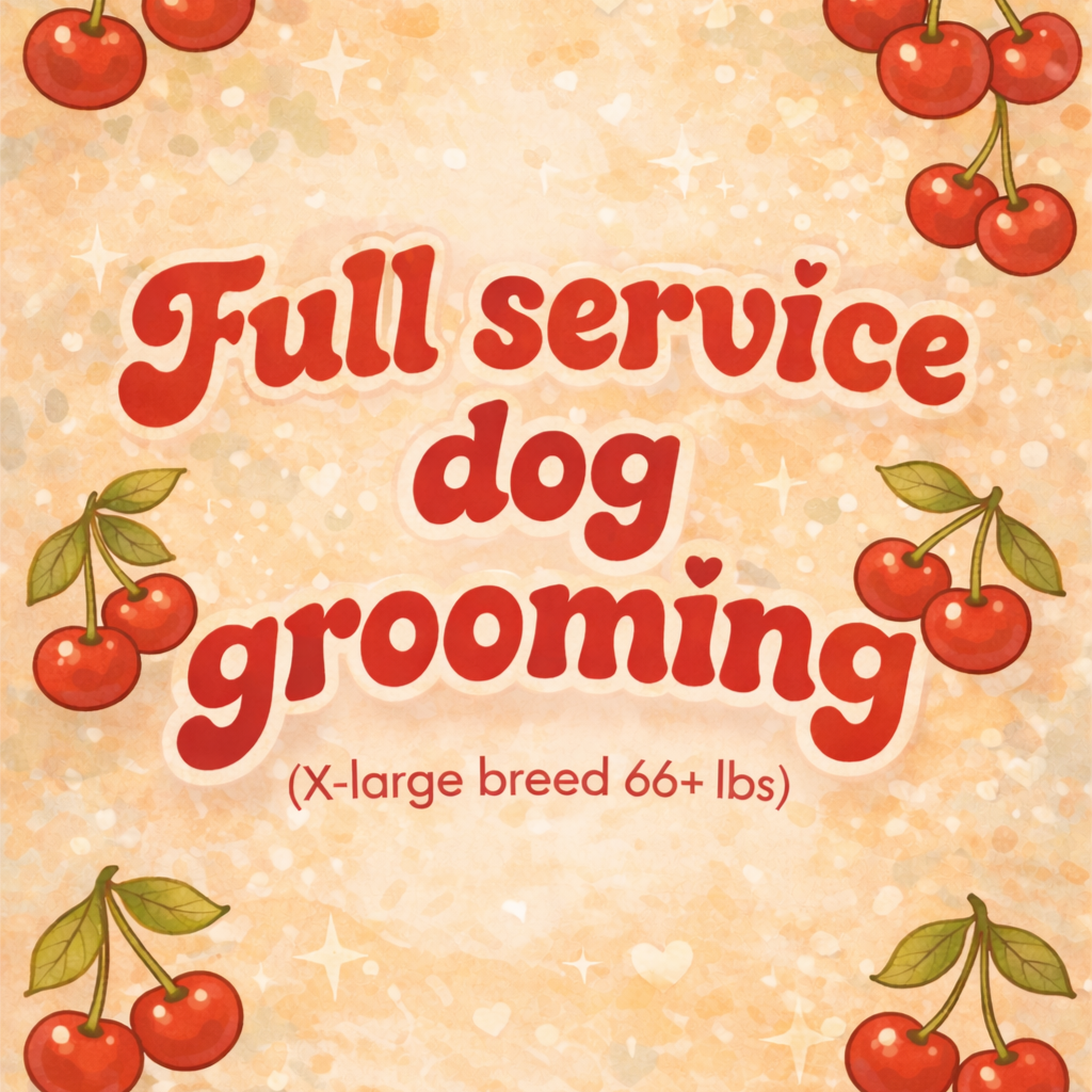 Full Groom X-large breed 66+lbs at Cherry Bow Dog Grooming in Alvarado, TX
