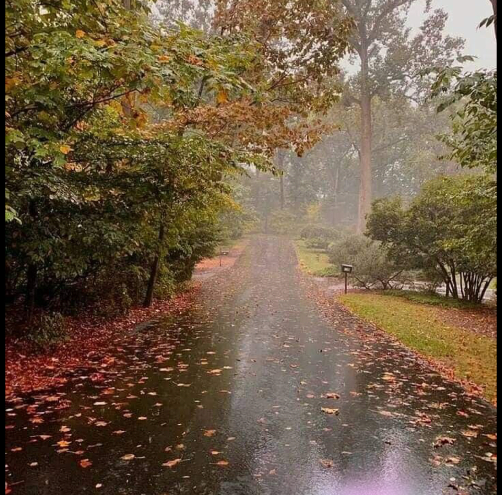 Fall Combo