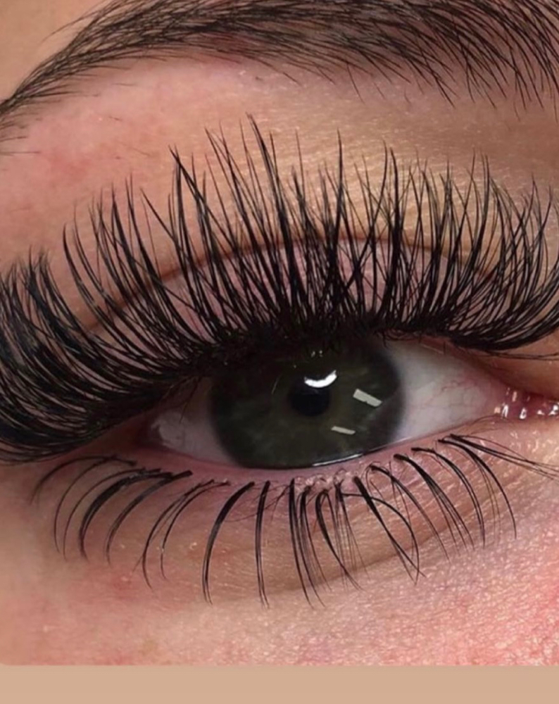 ADD ON: Bottom Lashes