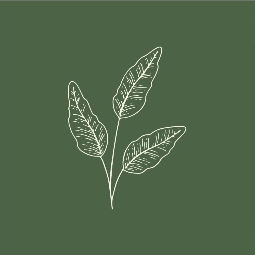 Refresh Peel Treatment at The Skin You're In in Overland Park, KS