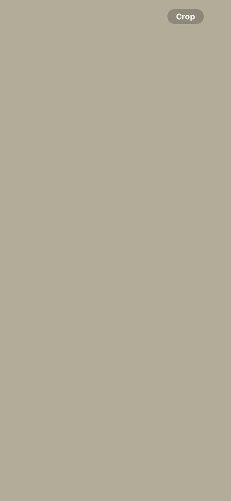 ROOT TOUCH (grey coverage)