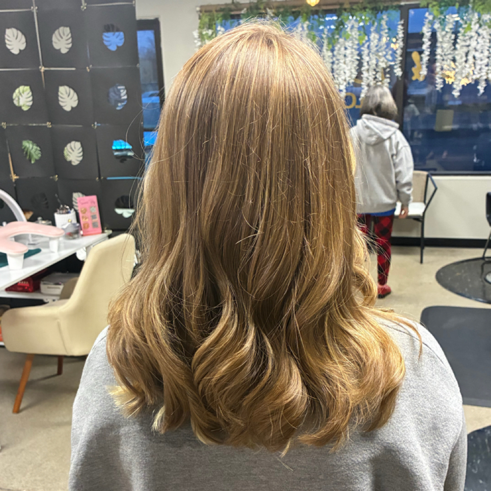 Highlights Partial at LK Hair in Nappanee, IN