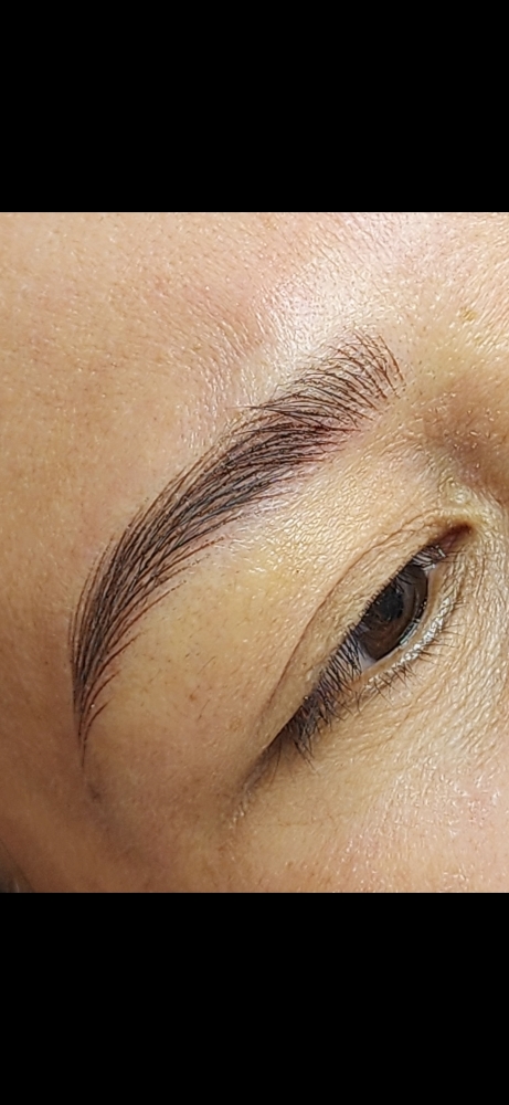 Eyebrows Touch Up 12 Months And Up