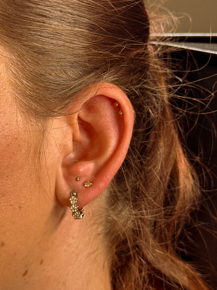 Stacker/Constelation Piercing at Desert Gems in Reforge, UT