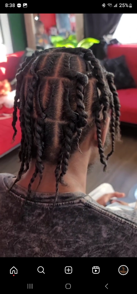 Two Strand Twist