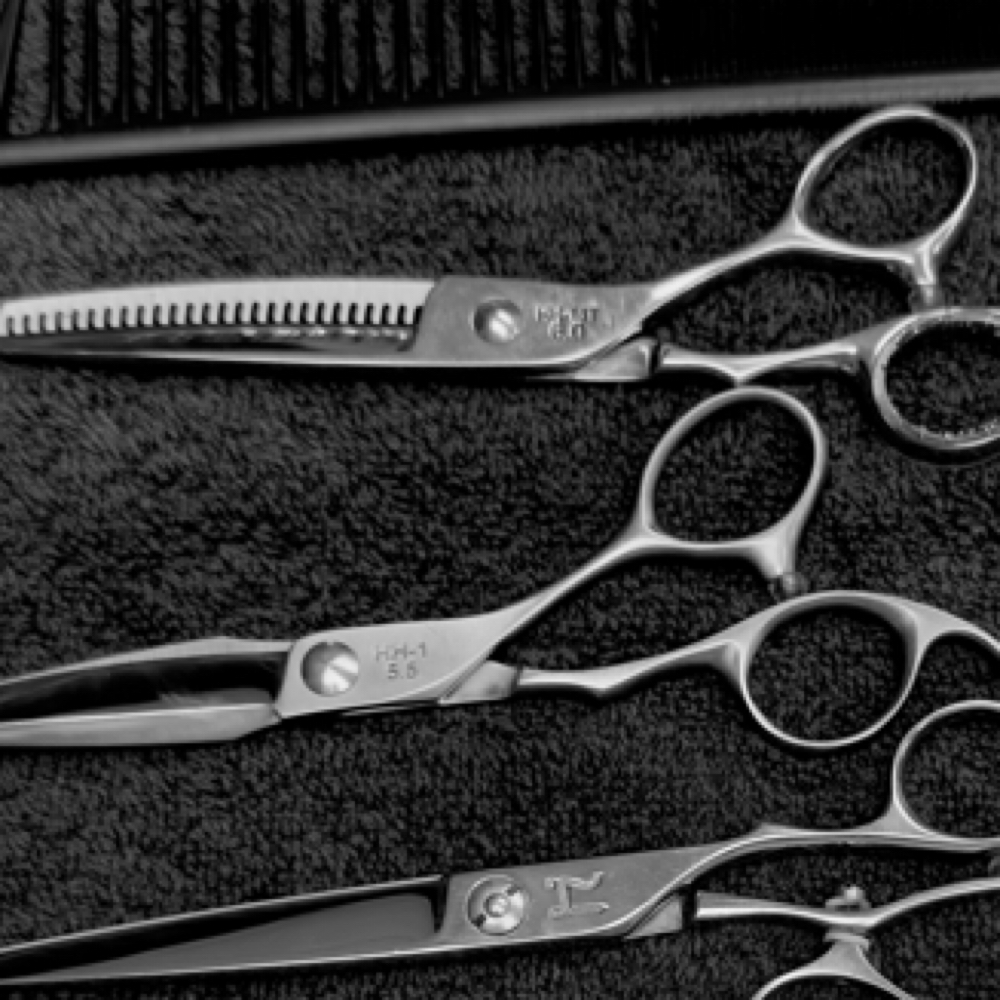 Mens Scissor Cut at Haileysullivanhairco in Tallahassee, FL