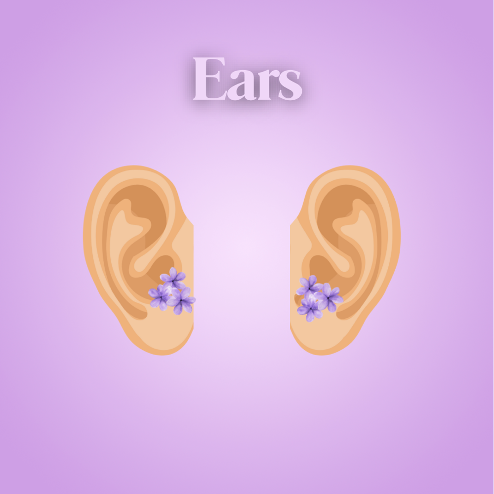 Ears