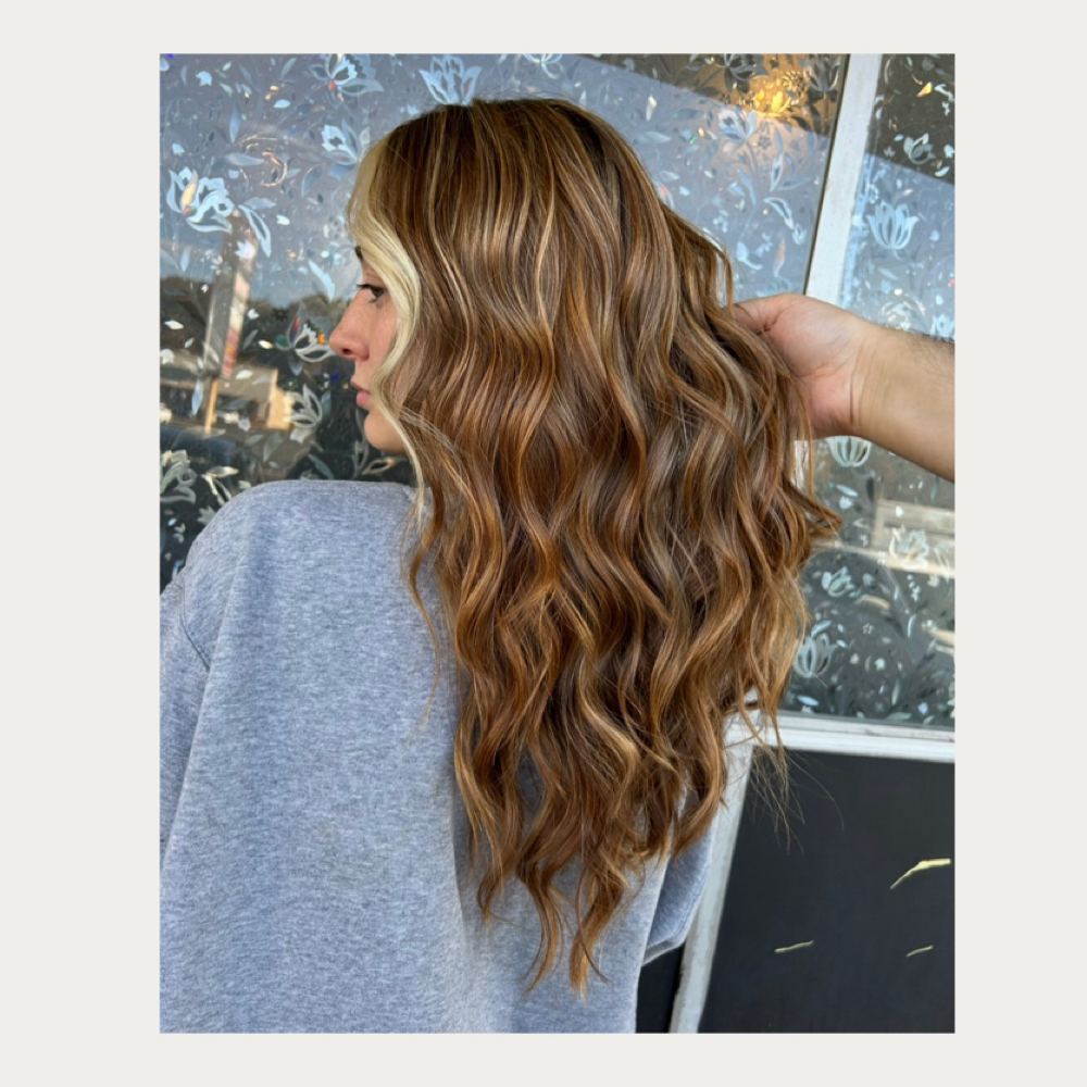 Full Blonding / Lowlight Color at manemandavid in Levittown, PA