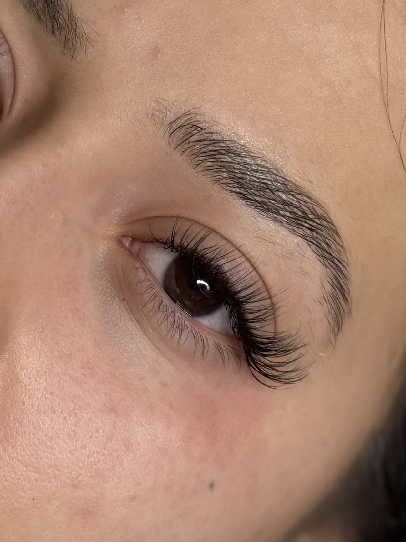 Classic Lash Extensions at Kalos Aesthetics in Northglenn, CO
