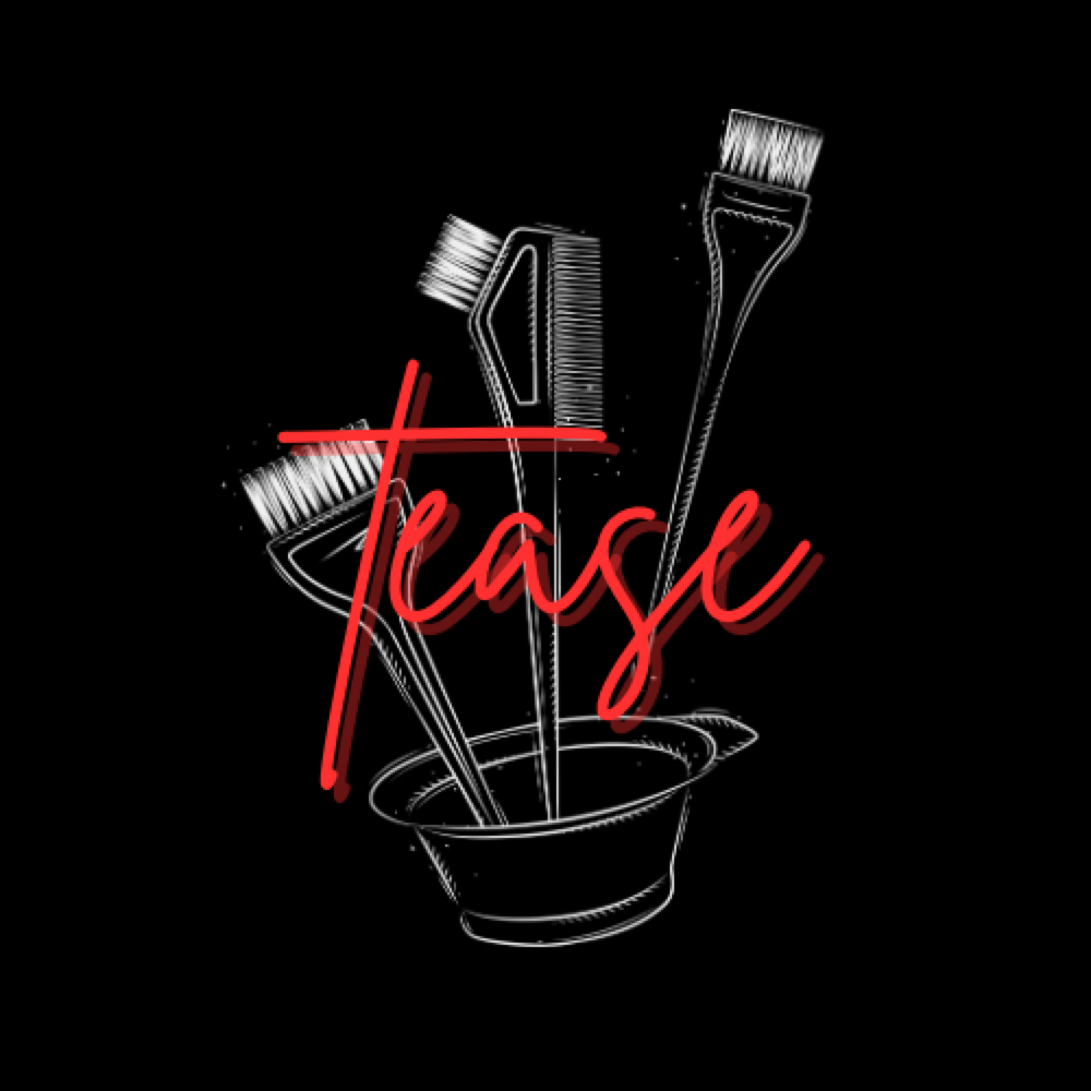 Color Consultation at Tease Hair Co. in Evansville, IN