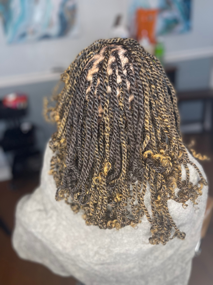 Small Kinky Twist