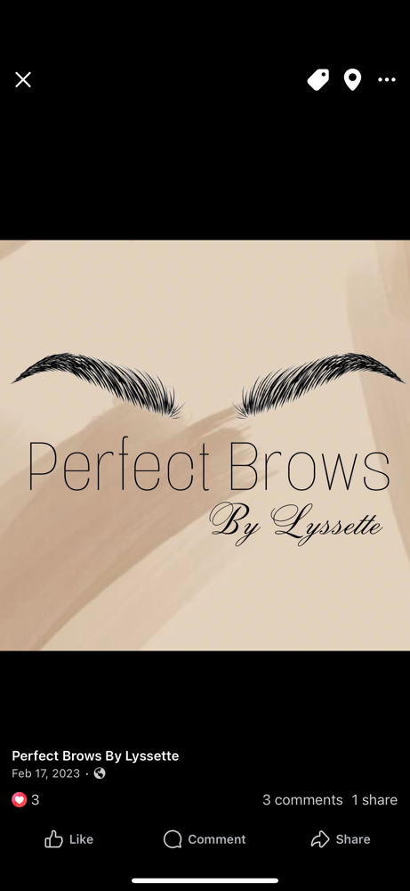 Ombre Powder Brows Consultation at Perfect Brows By Lyssette in Angleton, TX