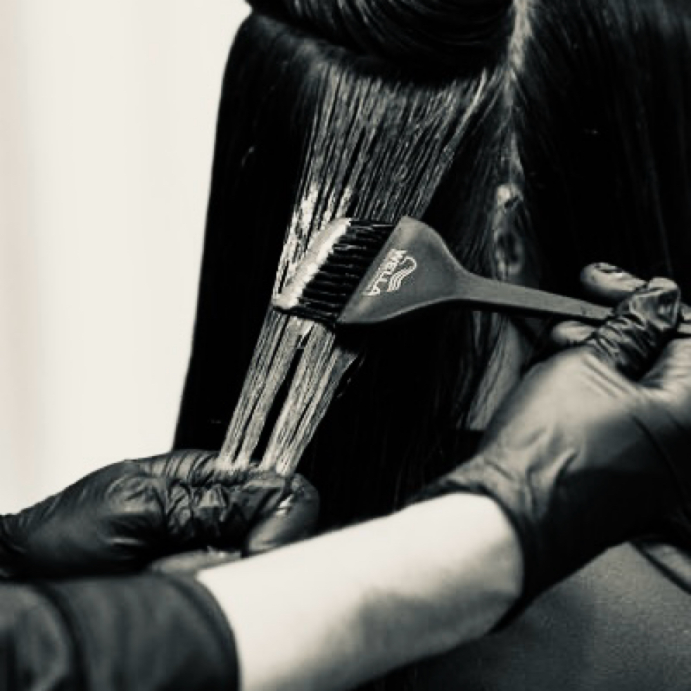 All-Over Color at Sandra Arraiga in Long Beach, CA