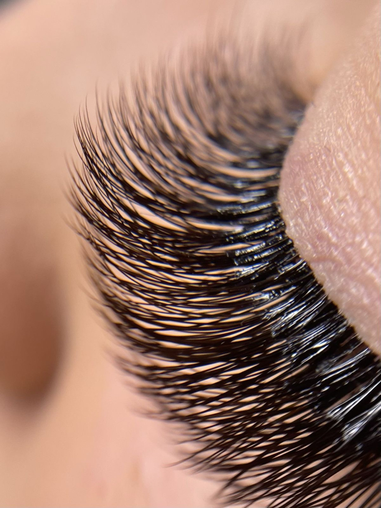 HANDMADE FANS (VOLUME)