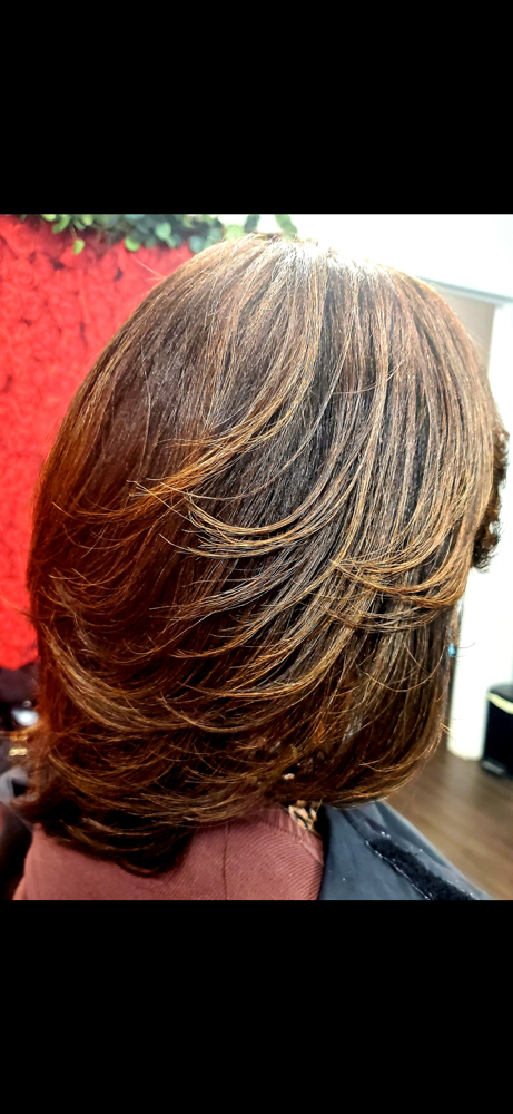 Shampoo & Blow Dry (No Style)