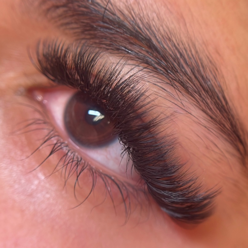 Volume Set at The Lash Slayer in Glendale, CO