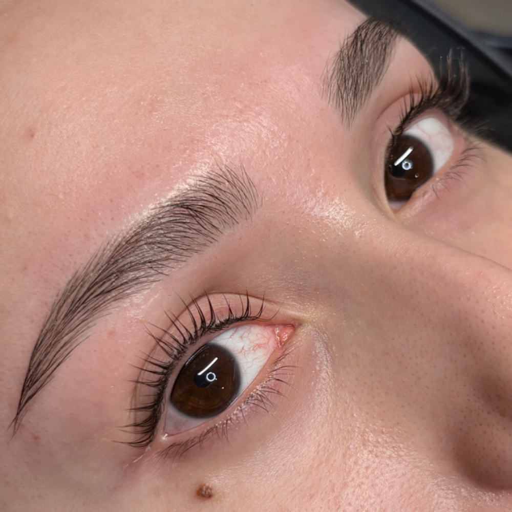 Brow Wax + Korean Lash Lift at Fem Haus SATX in San Antonio, TX