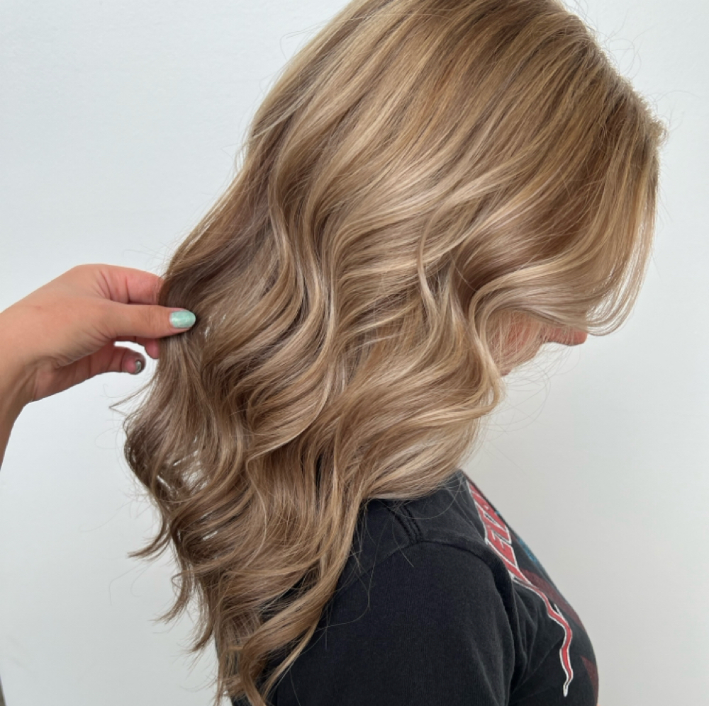 Partial Hilight/Lowlight at Lichelle Townsend Hair in Monroe, MI