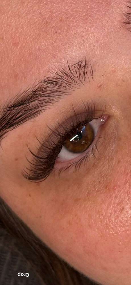 Color Lashes (Add On)