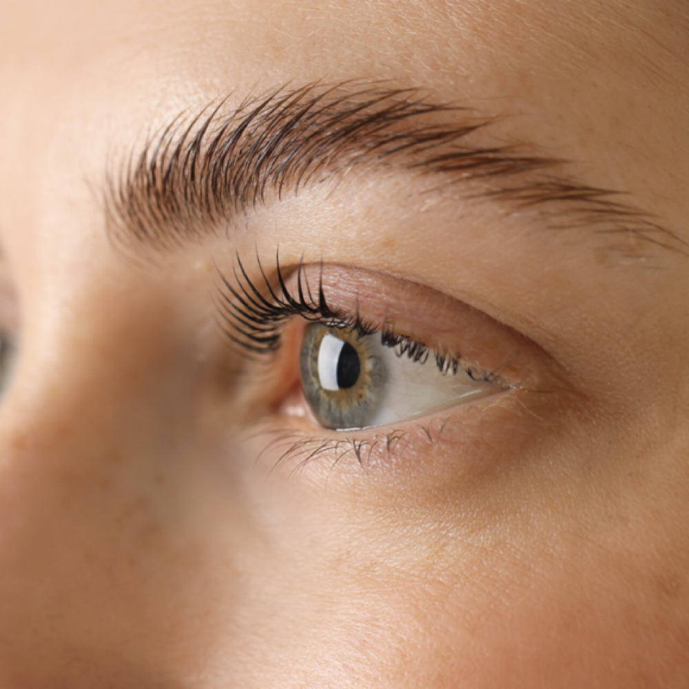 Brow Lamination at Eden Beauty & Wellness in Oregon City, OR