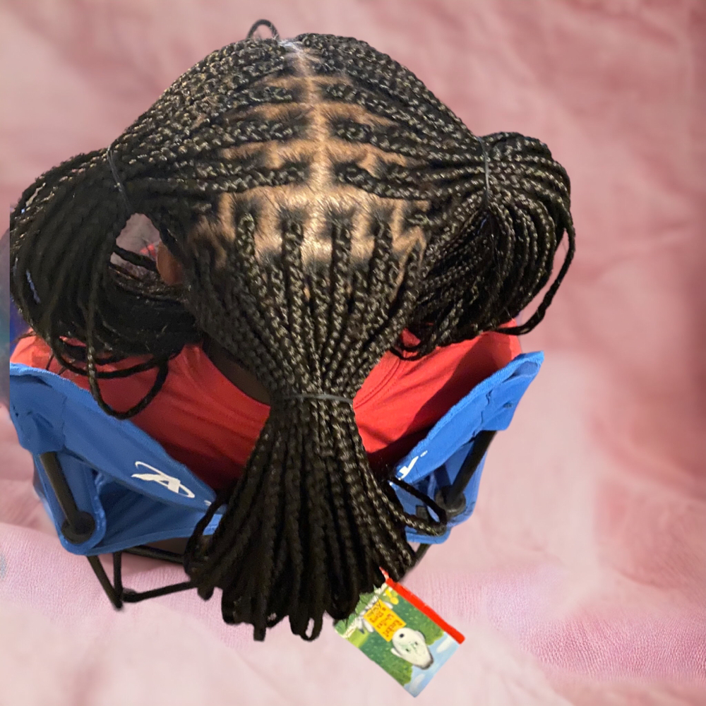 Kids Box Braids (up to 12yrs)