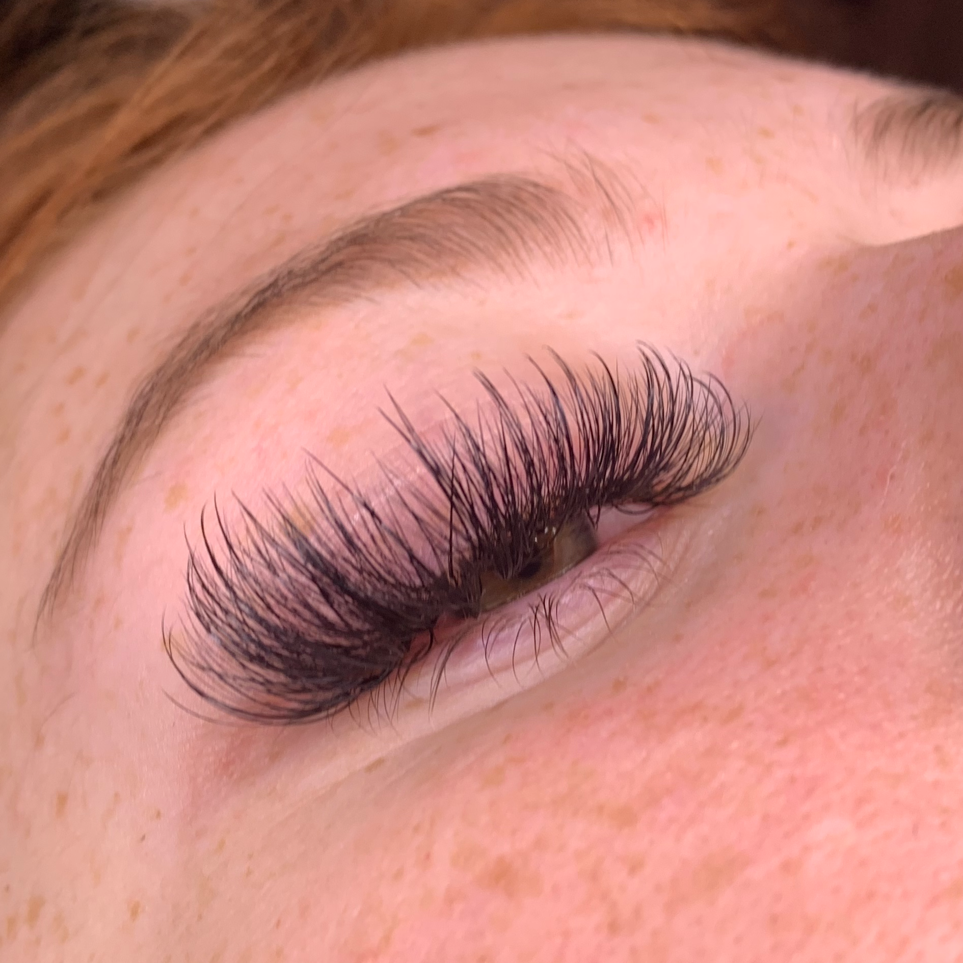 "Hybrid" Regular New Set of Lashes