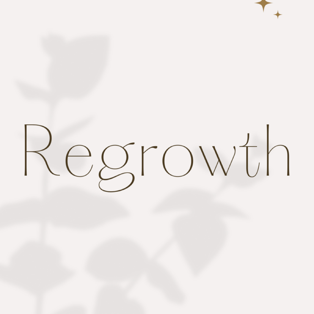 Regrowth at The Revival Studio in New Bedford, MA