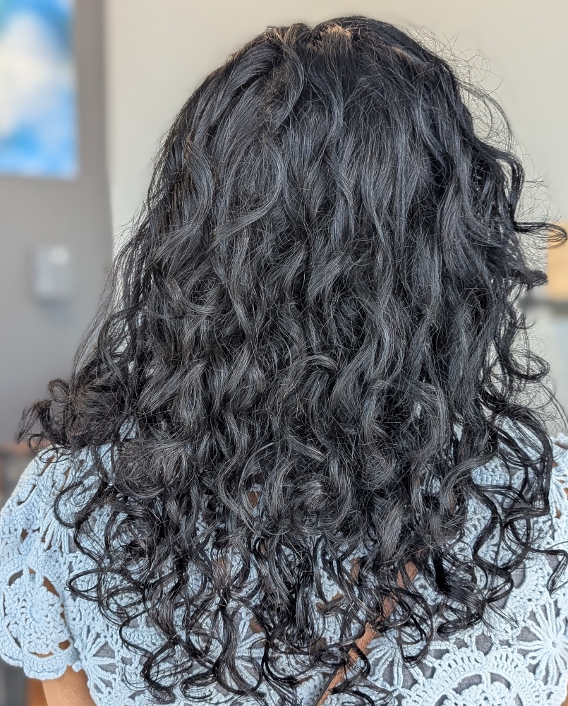 Root Touch Up