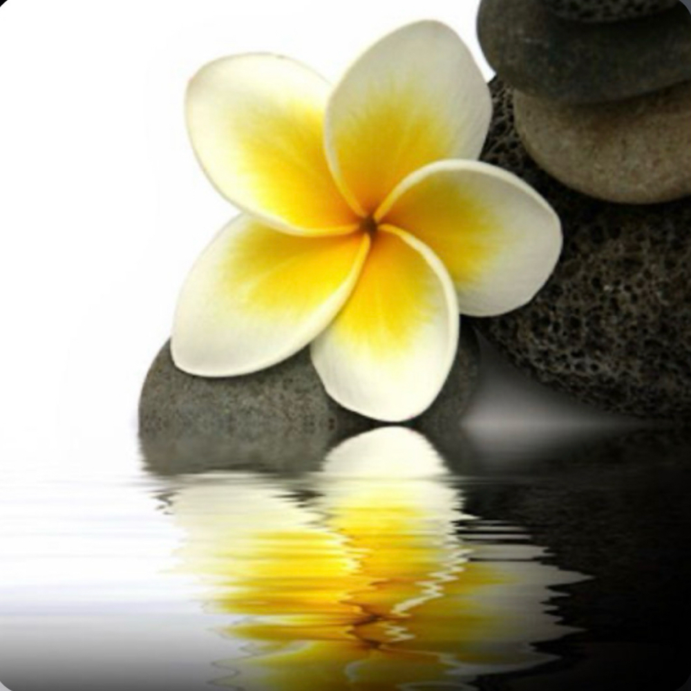 2.5 Hour Jami’s Therapeutic Touch