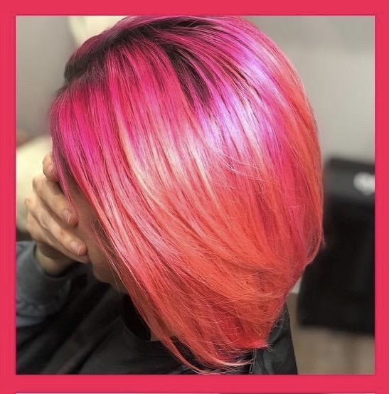 Creative/Vivid Colors
