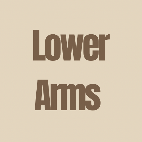 Lower Arms