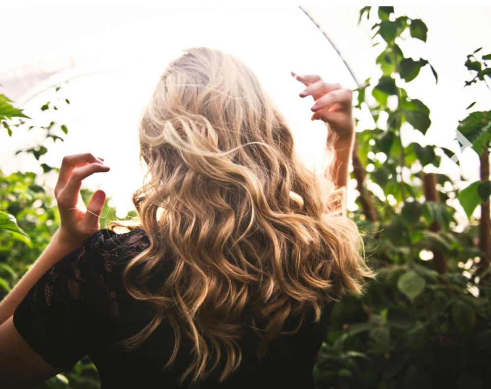 Highlights - Partial