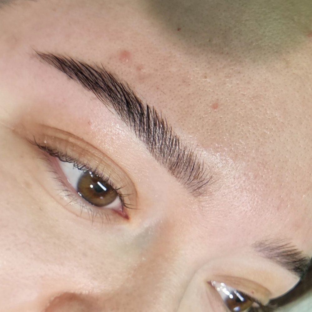 Brow Trio at Ally Aesthetics in San Antonio, TX