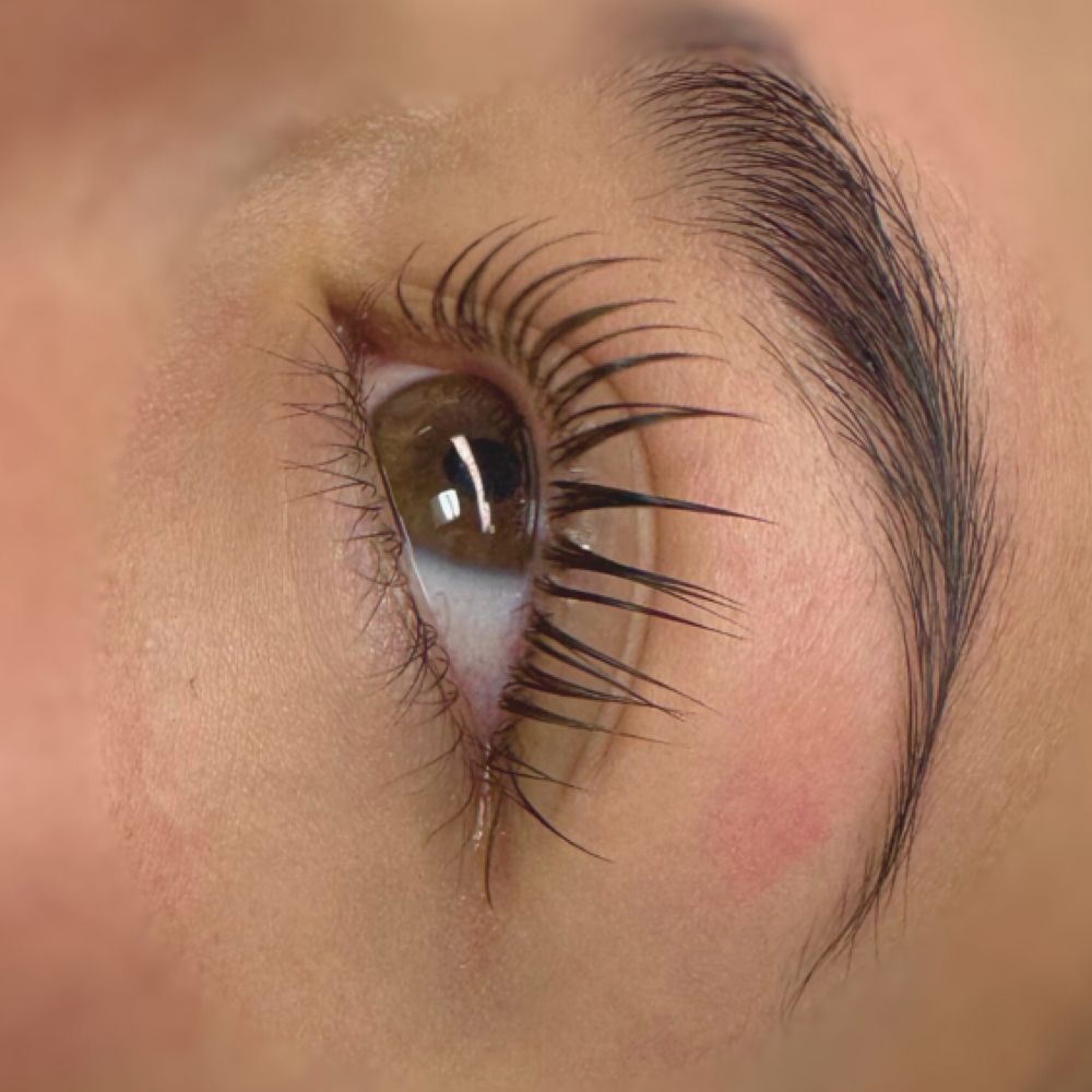 Lash Lift at Desert Belle Esthetics in Albuquerque, NM