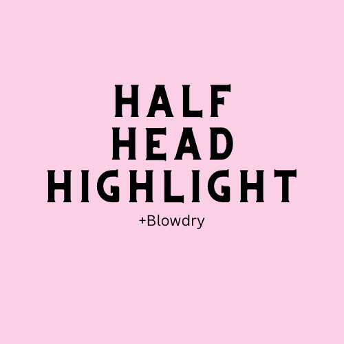 Half Head Highlight + Blowdry