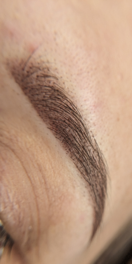 POWDER BROWS 4-6 Weeks Touch Up