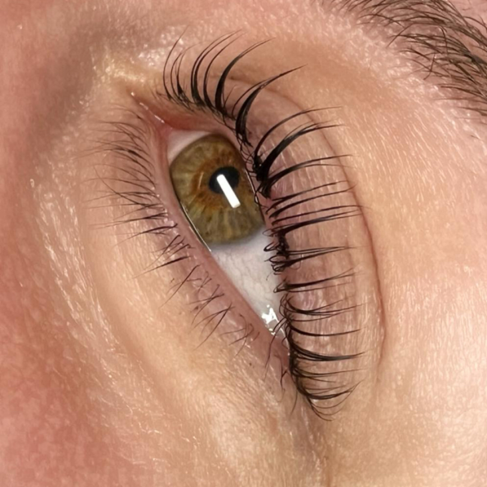Lash Lift and Tint at Face Divinity in Plaistow, NH