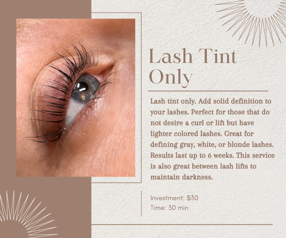 Lash Tint Only